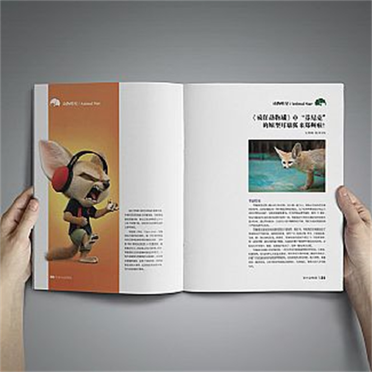 广东彩页精装宣传册设计
