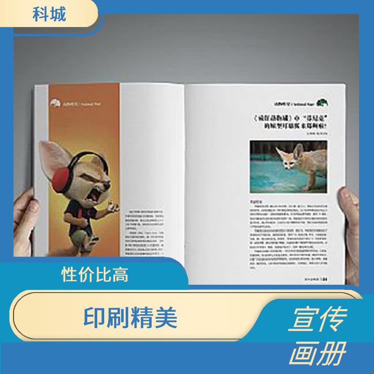 广东彩页精装宣传册设计 形式丰富 表面细腻且白净